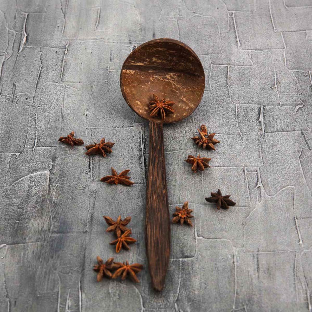 Coconut Shell Spoon 26cm