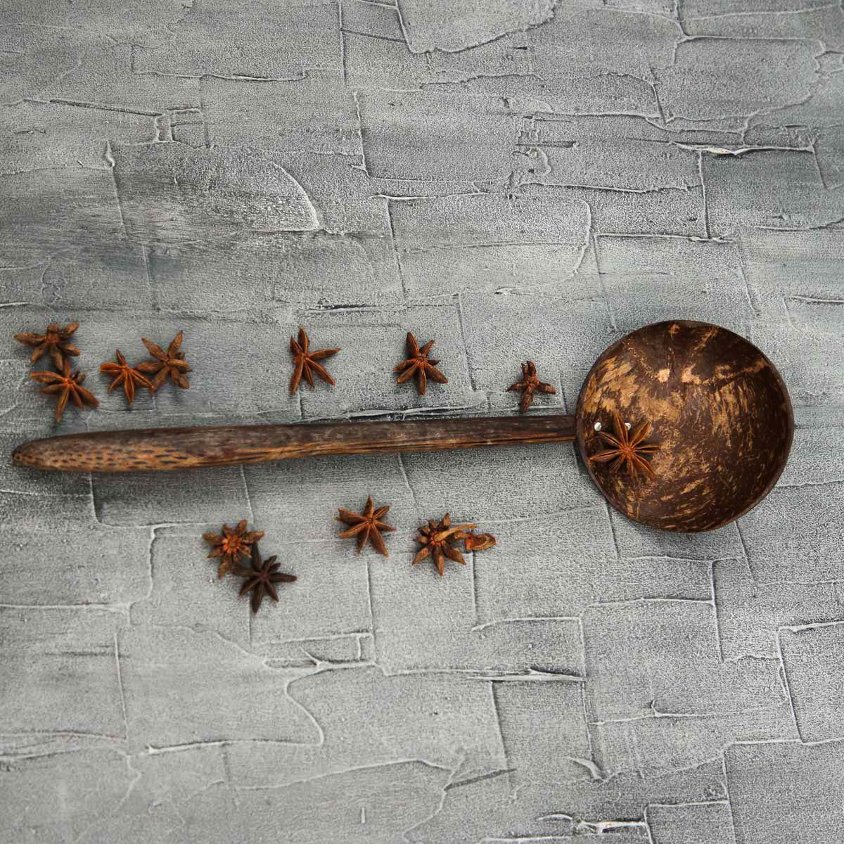 Coconut Shell Spoon 24cm