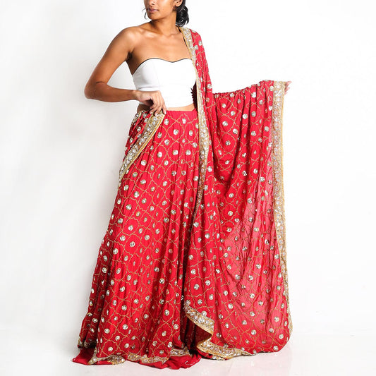 Ruby Red Saram Skirt and Dupatta