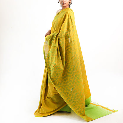 Golden Mustard Saree