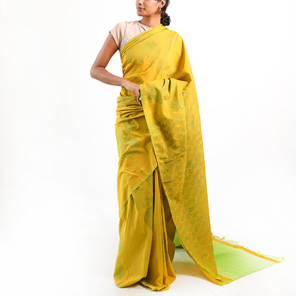 Golden Mustard Saree