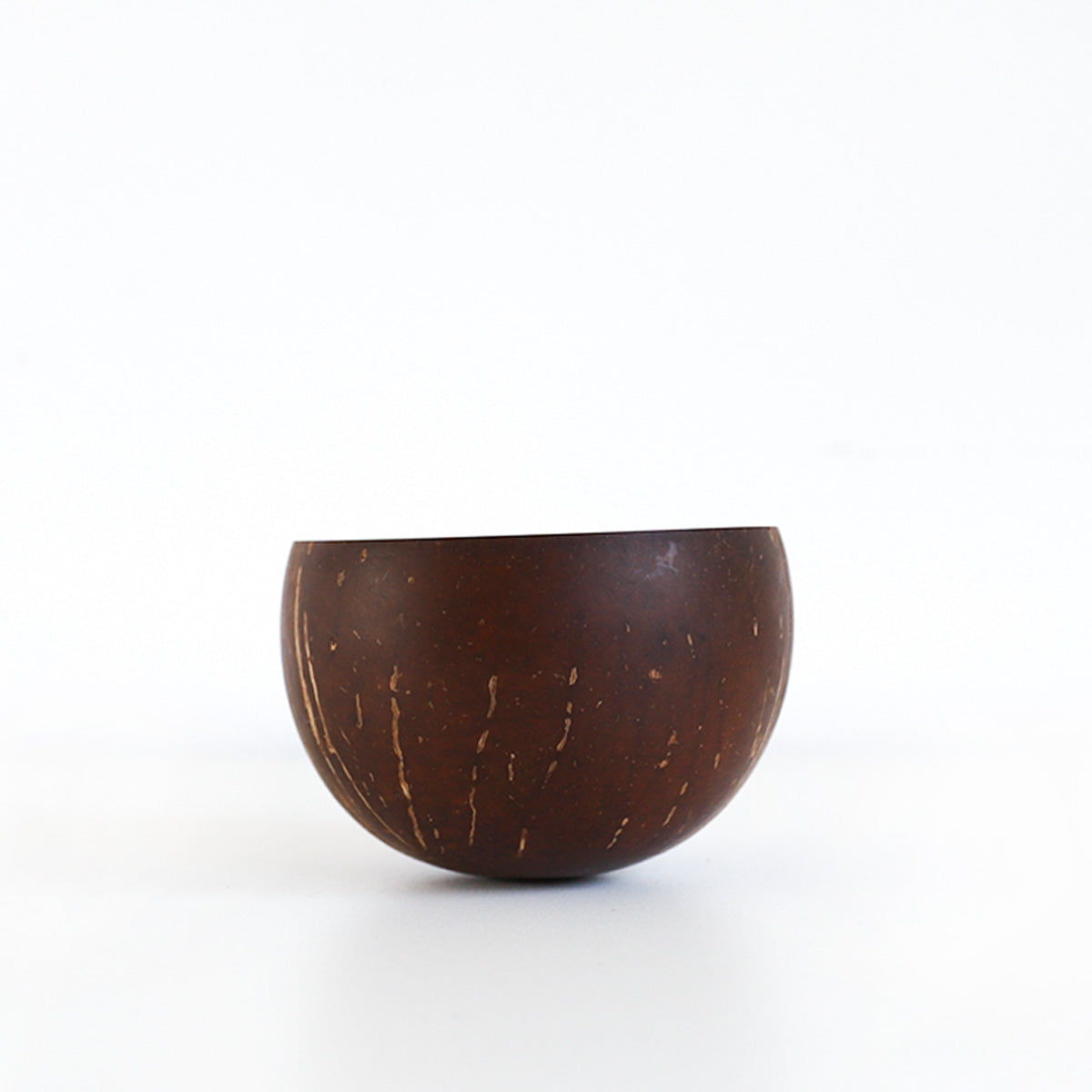 Coconut Shell Bowl
