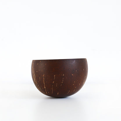 Coconut Shell Bowl
