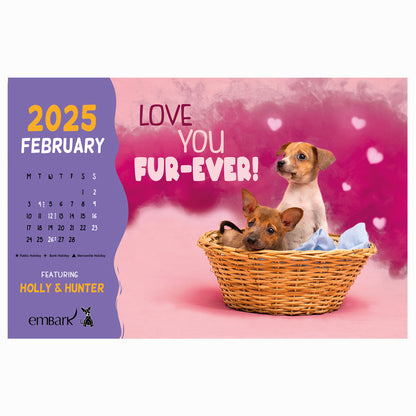 Embark Calendar 2025