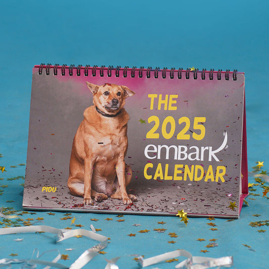 Embark Calendar 2025