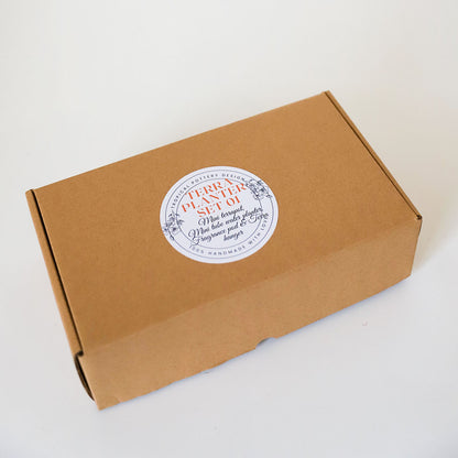 Terracotta Planter Set